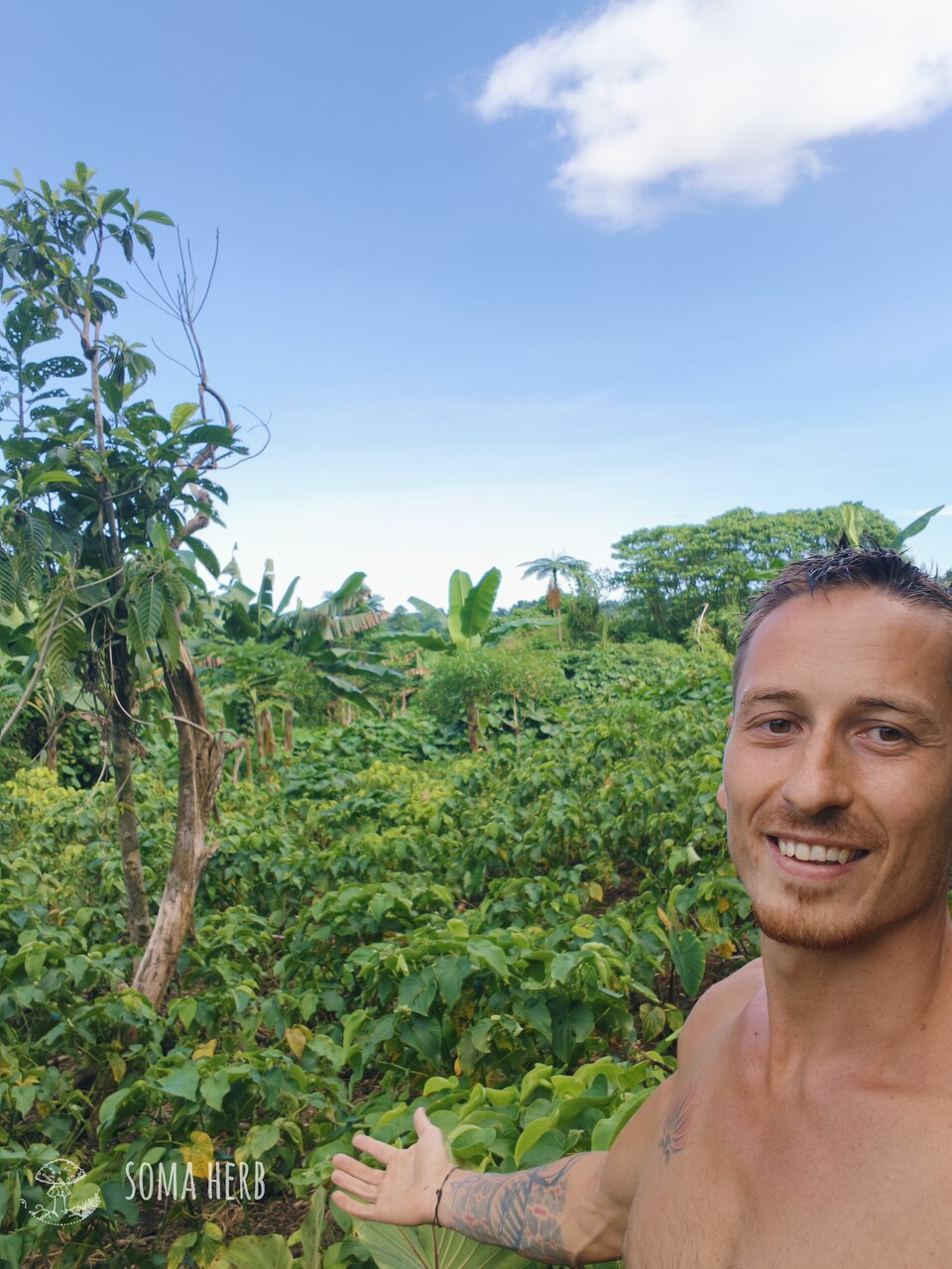 Green Flow – Instant Kava (Vanuatu) 250 g